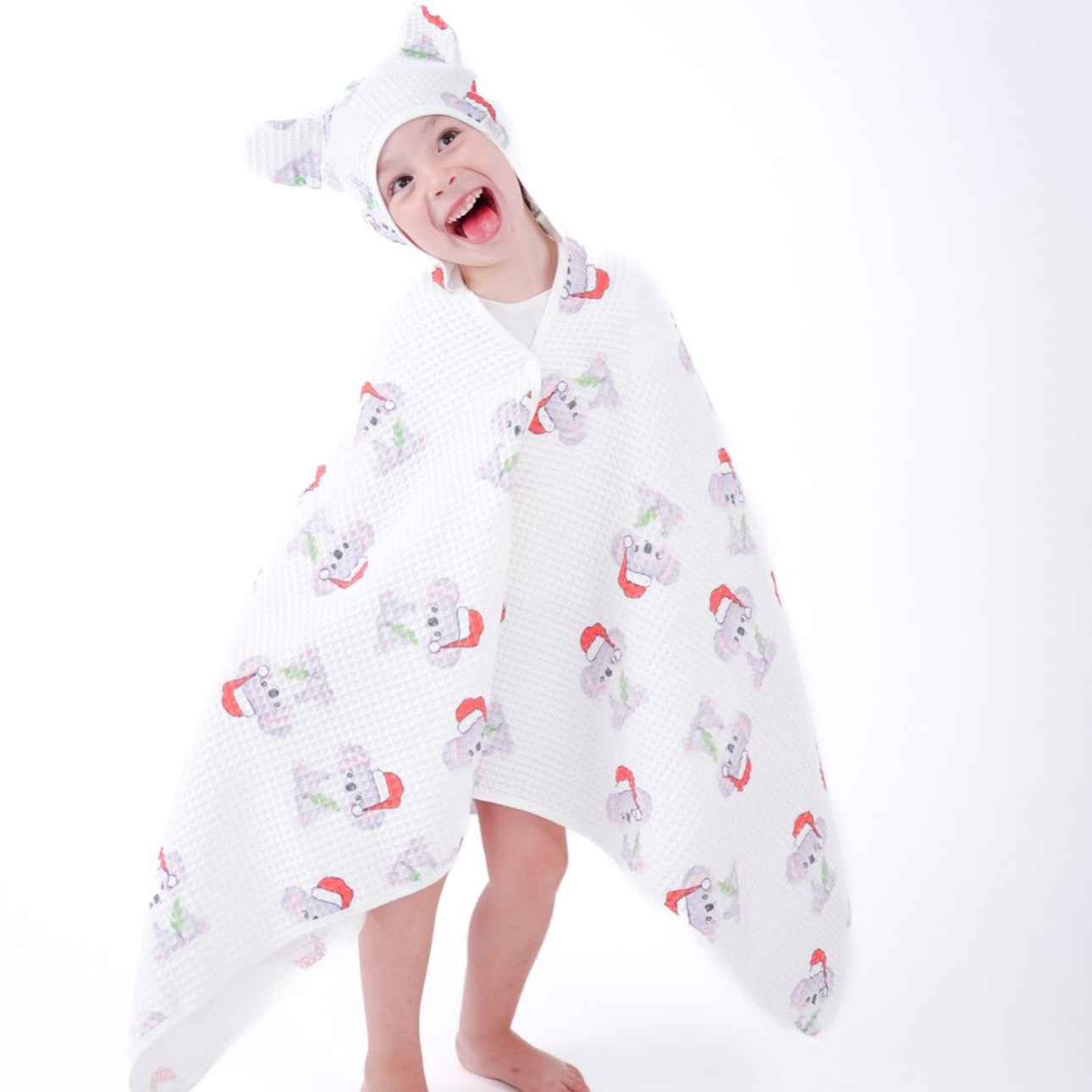 Koala Christmas